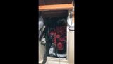 1983 Canadian Sailcraft Cs33