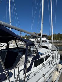 2001 Catalina 36 Mkii Boats