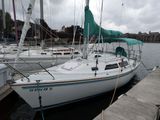 1984 Catalina 270