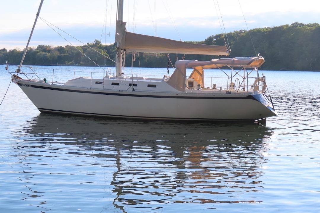 1980 CS 36 Traditional