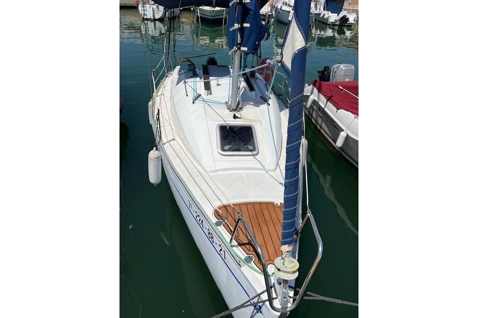 2021 Tarsis 24