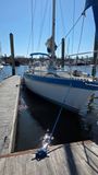 1984 Wauquiez Hood 38