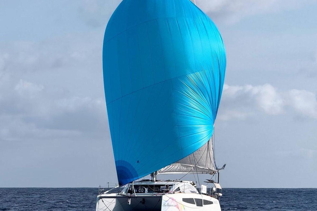 2026 C-Catamarans C-CAT 38