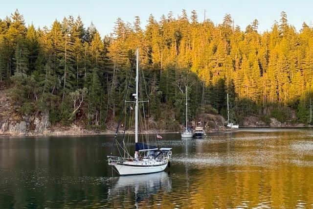 1990 Cabo Rico 38 for sale in Everett, Washington