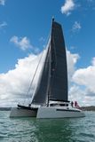 2014 Alibi 54