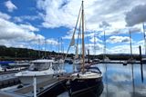 2004 Cape Cutter 19