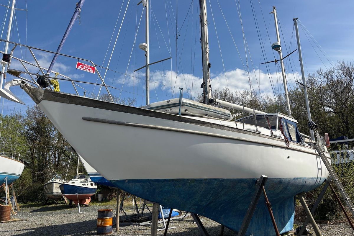 1968 Nicholson 38