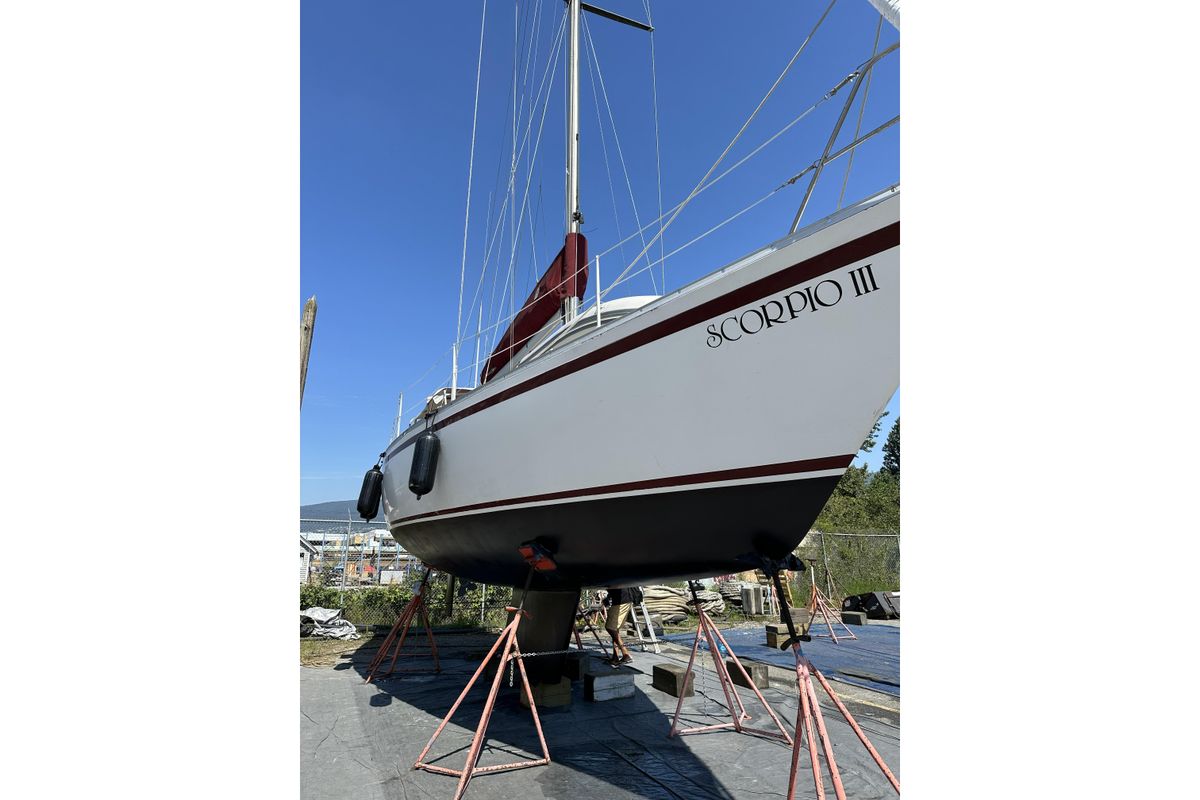 1980 CS 36 Traditional