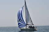 1996 Sunbeam 33