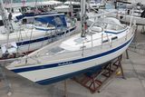 1992 Hallberg-Rassy 36