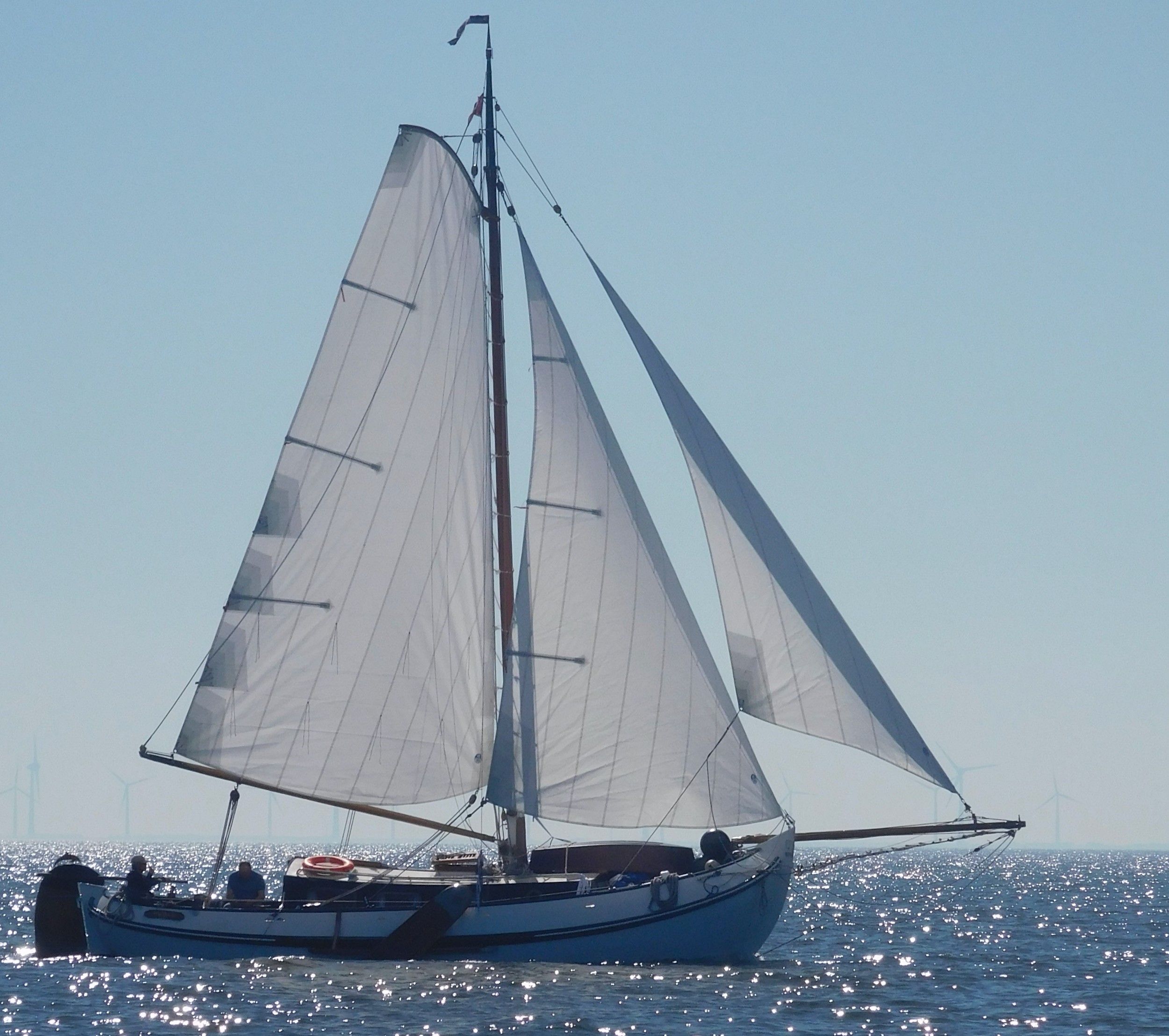 1990 Lemsteraak Roefmodel Dolfijn Blom 1010 for sale in Netherlands
