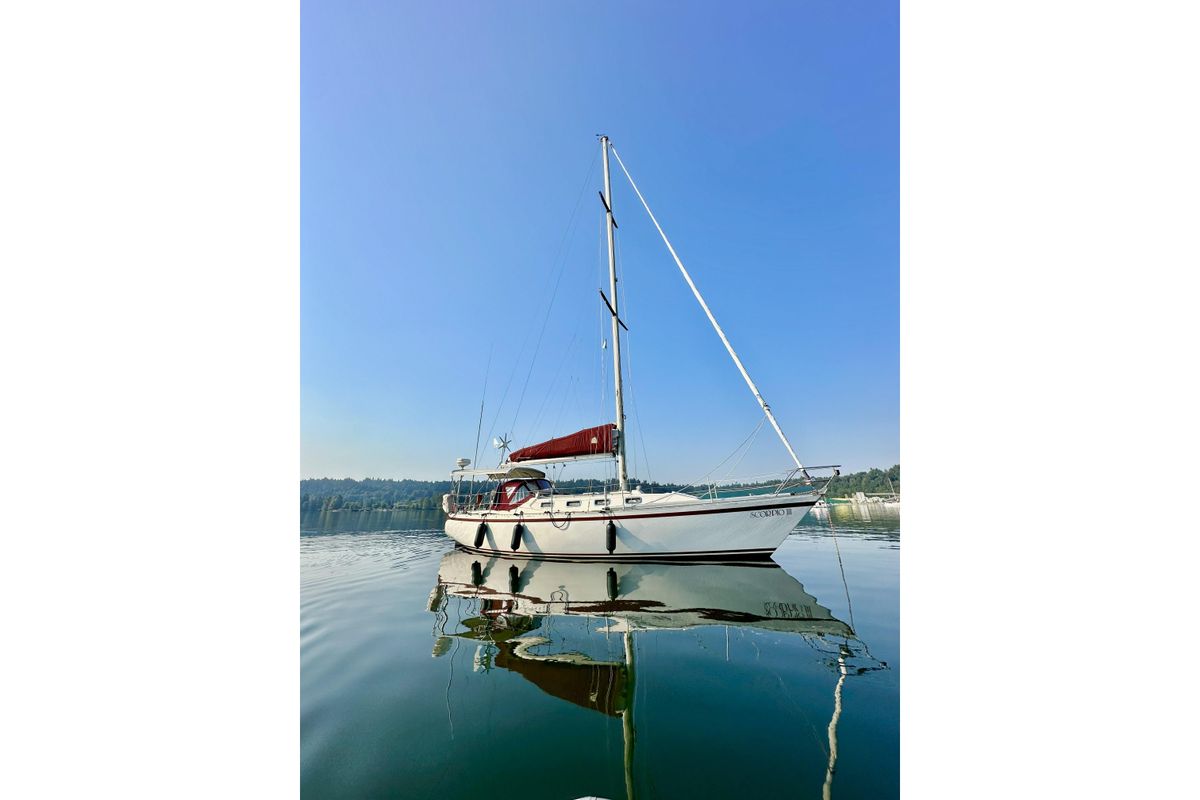 1980 CS 36 Traditional