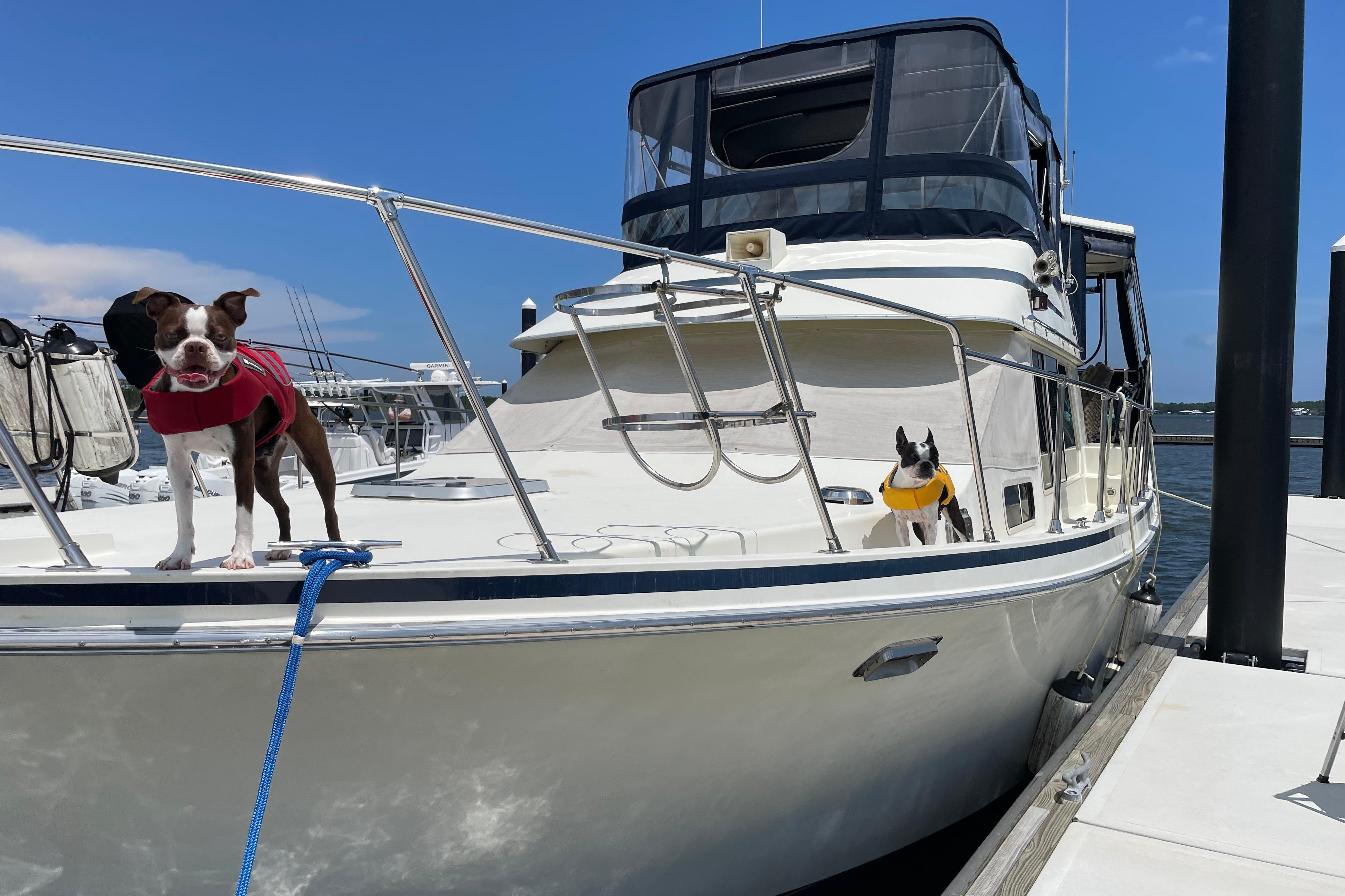 1988 Tollycraft 40 Sundeck Motor for sale in Orange Beach, Alabama