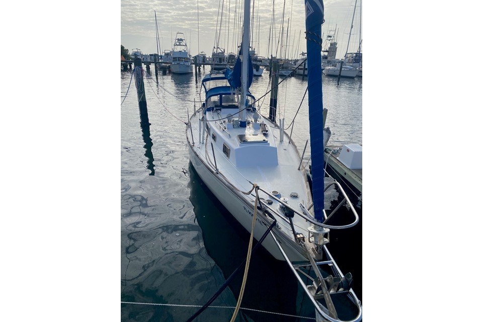 1976 Tartan 34 en venta en St Petersburg, Florida