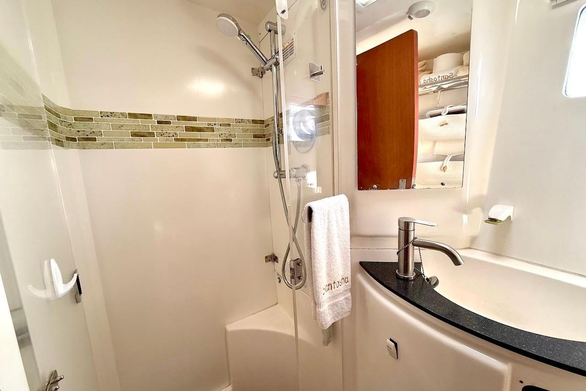2010 Leopard 46