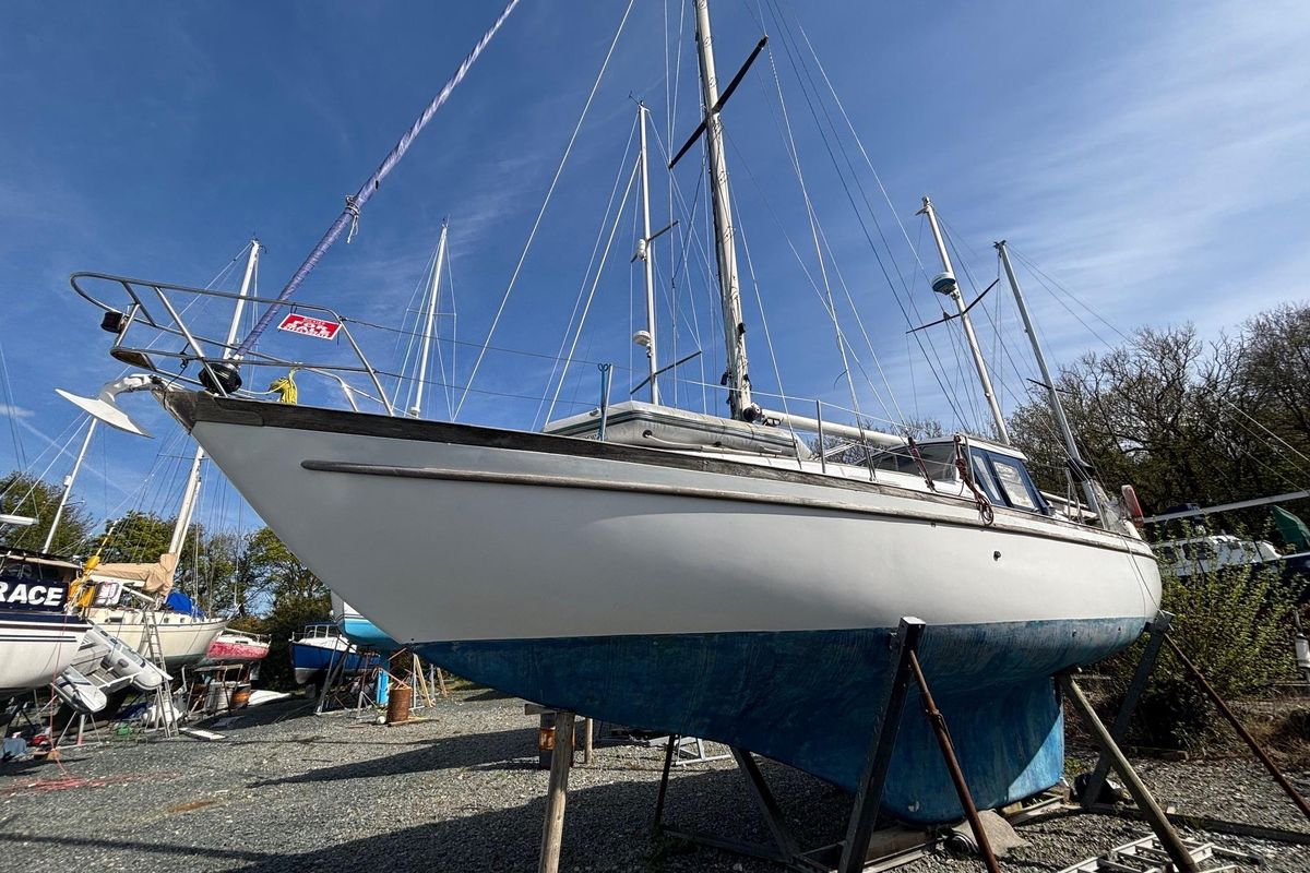 1968 Nicholson 38