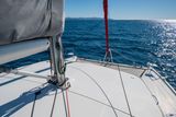 2013 Leopard 44