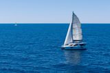 2013 Leopard 44