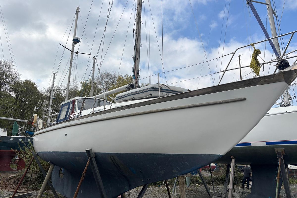 1968 Nicholson 38