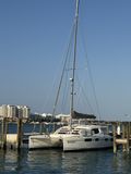 2008 Leopard 46