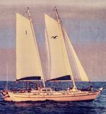 2004 Wharram Tiki 46
