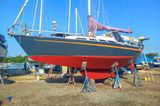 1982 Reinke Taranga 33