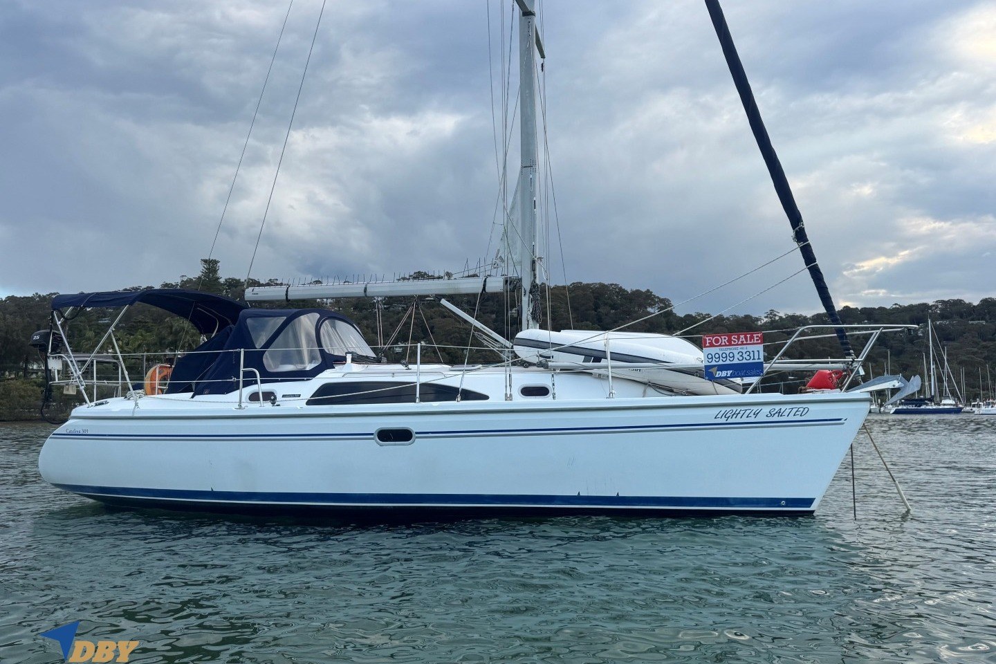 2008 Catalina 309