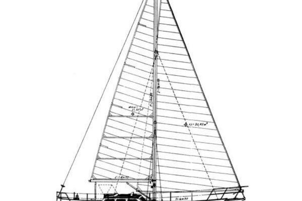 1995 Belliure 41