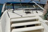 2001 Leopard 38