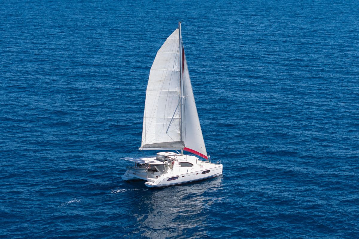 2013 Leopard 44