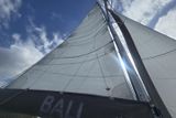 2023 Bali Catspace