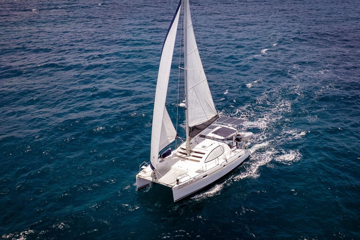 2006 Leopard 40