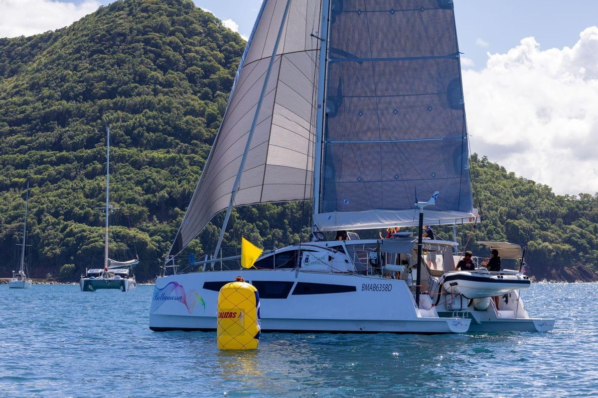 2026 C-Catamarans C-CAT 38