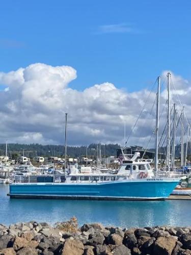 1983 Swiftships Charter