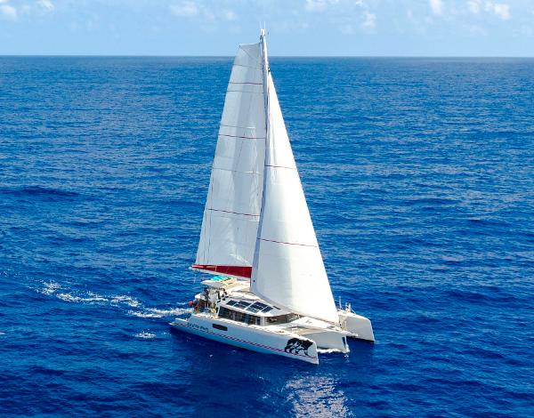 2022 NEEL 51 for sale in Monastir, Tunisia