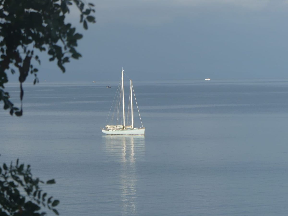 2010 Custom Fusionschooner 50
