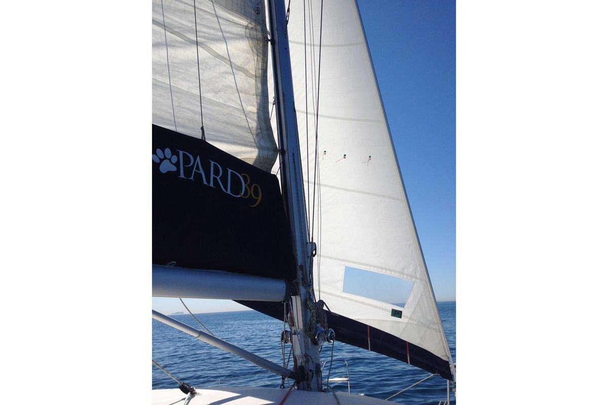 2011 Leopard 39