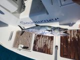 2006 Beneteau Oceanis Clipper 423