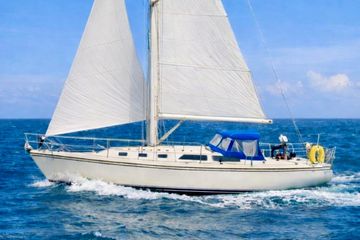 1999 Catalina 34 Mkii Boats