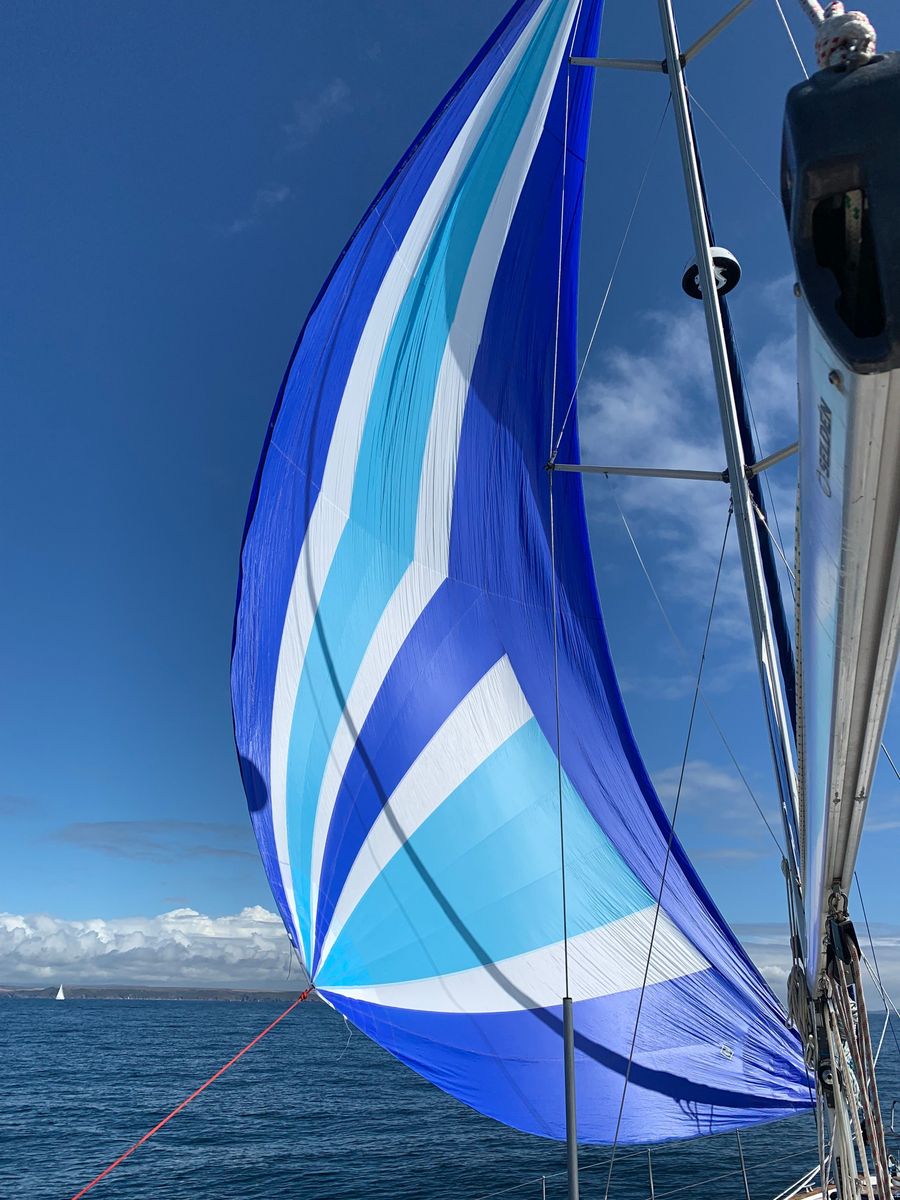 2003 Bavaria 44