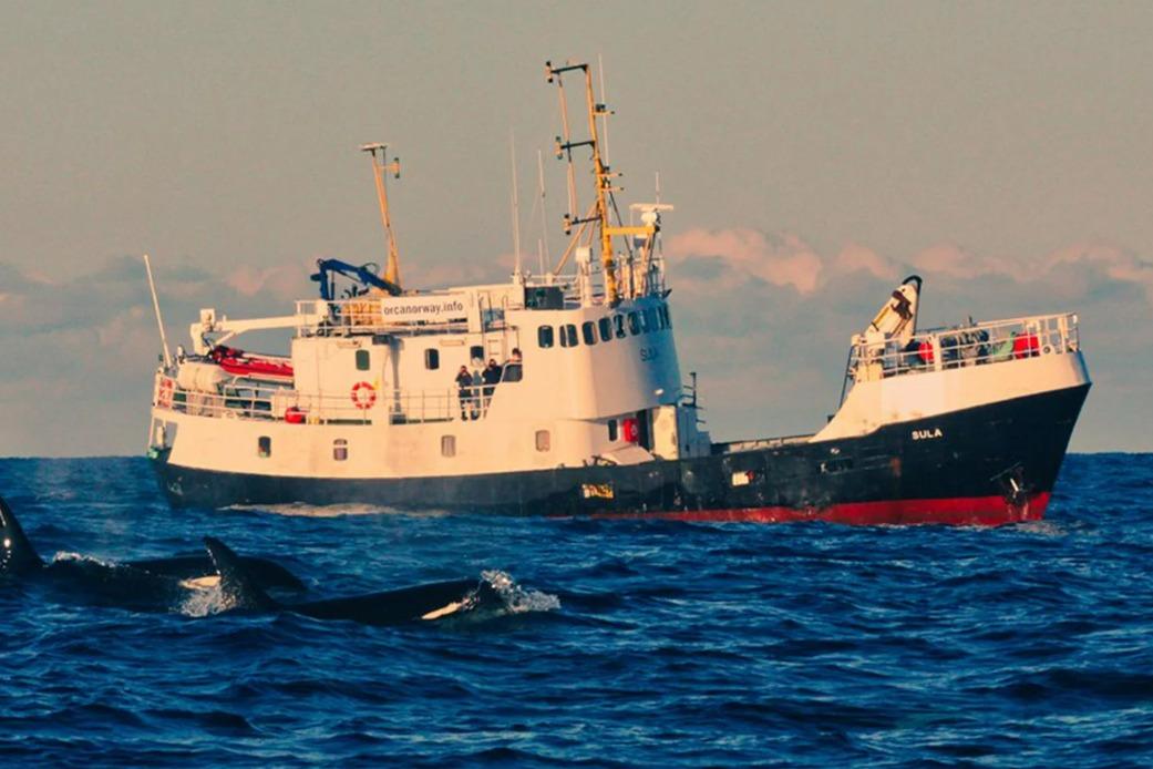 1967 Custom North Sea Trawler for sale in Farstad, Norway