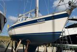 1992 Hallberg-Rassy 36