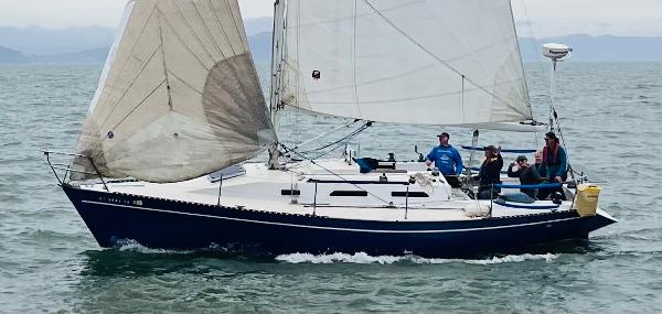 1982 Schock NY 36 for sale in Berkeley Marina, California