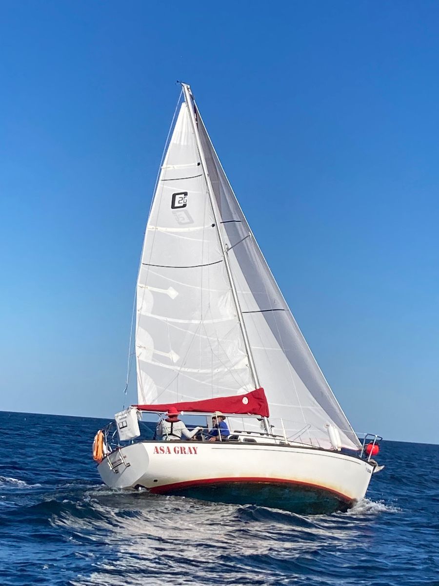 1983 Cape Dory 26