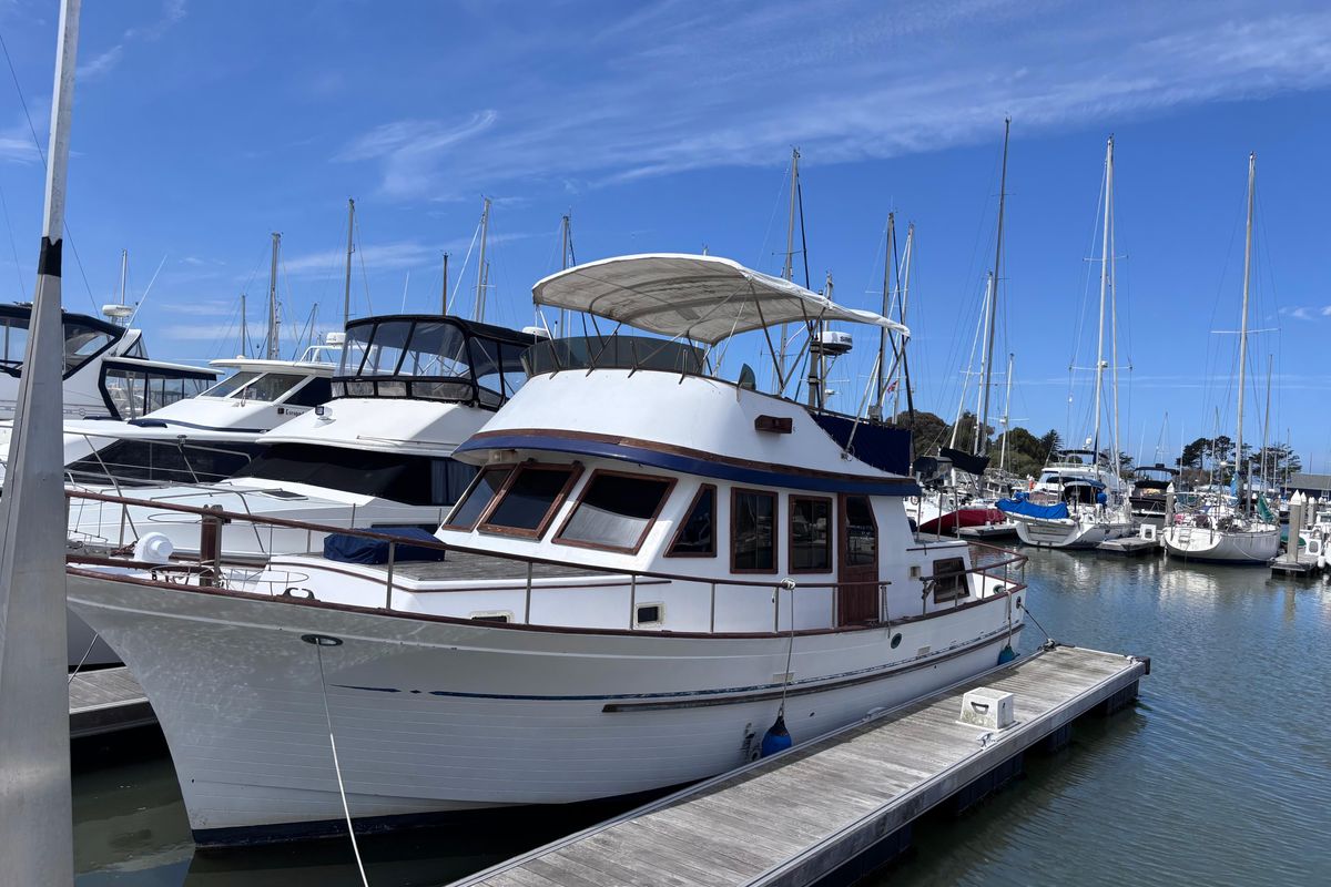 1981 Hershine 40
