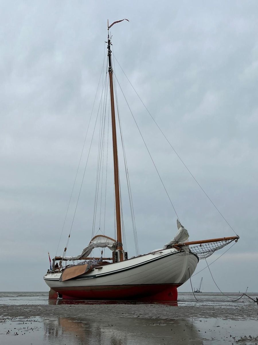 2002 Lemsteraak Walrus VA 11 - Roefuitvoering