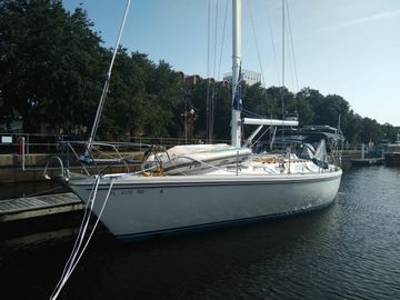 1989 Catalina 42 Boats