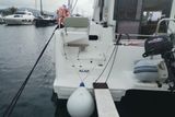 2023 Bali Catsmart