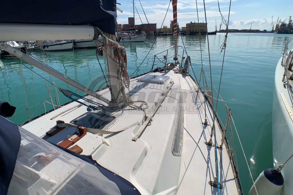 1981 CNSO Shogun 36