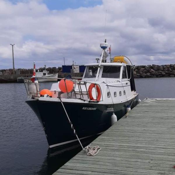 1979 Hyundai Roughwater 29 en venta en Amherst, Nova Scotia, Canada